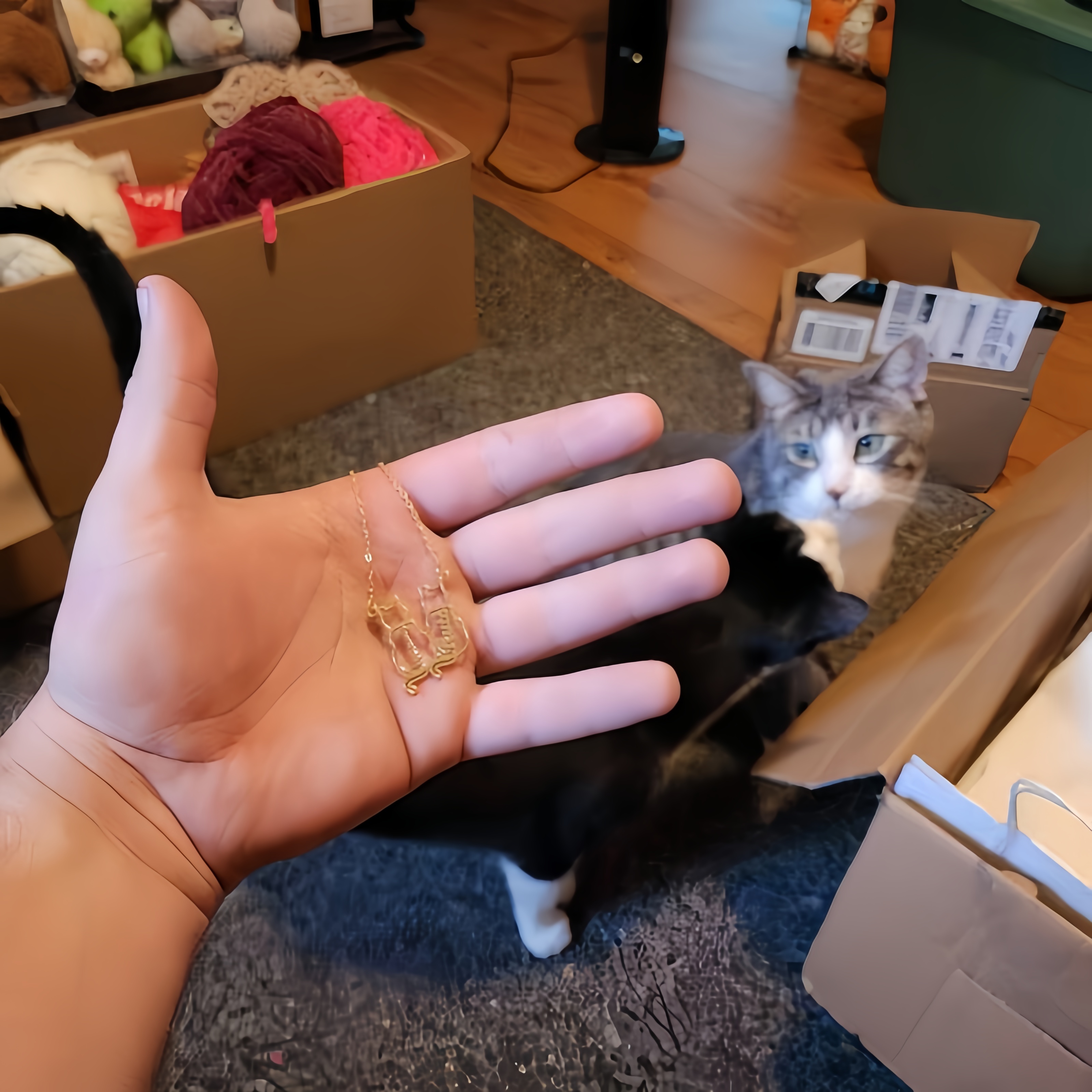 Personalized Cat Name Necklace - đánh giá và giá Xl Women'S Fashion